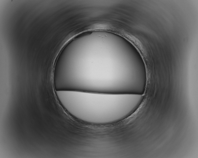 X0000093481473200710120945