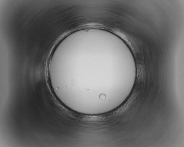 X0000093481474200710120945