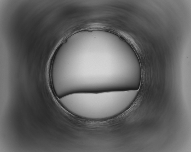 X0000093481475200710120945