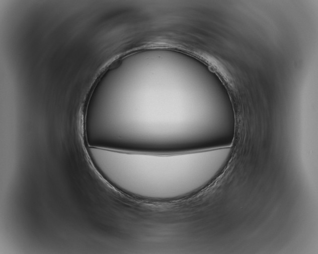 X0000093481476200710120945