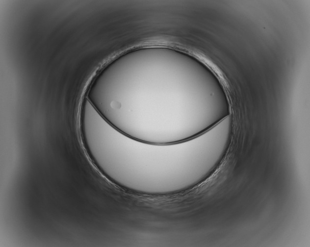 X0000093481477200710120945