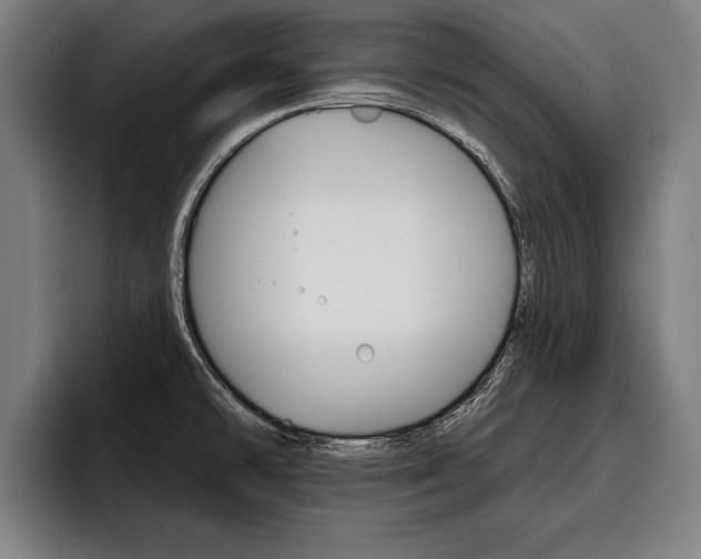 X0000093481478200710120945