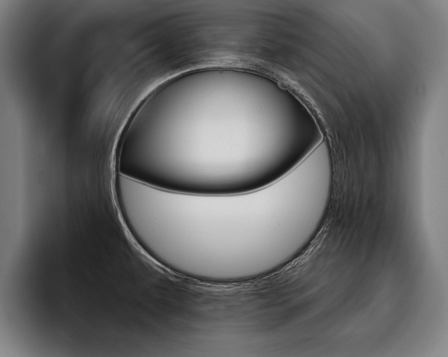 X0000093481479200710120945