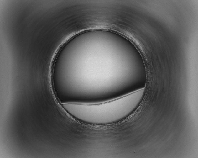 X0000093481480200710120945