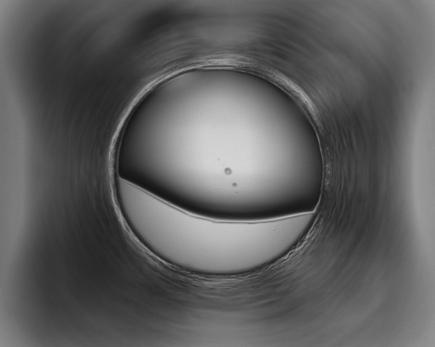 X0000093481483200710120945