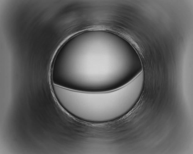 X0000093481484200710120945