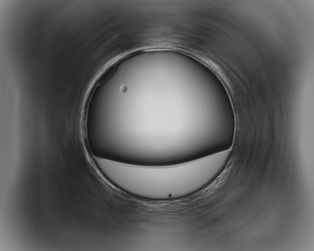 X0000093481485200710120945