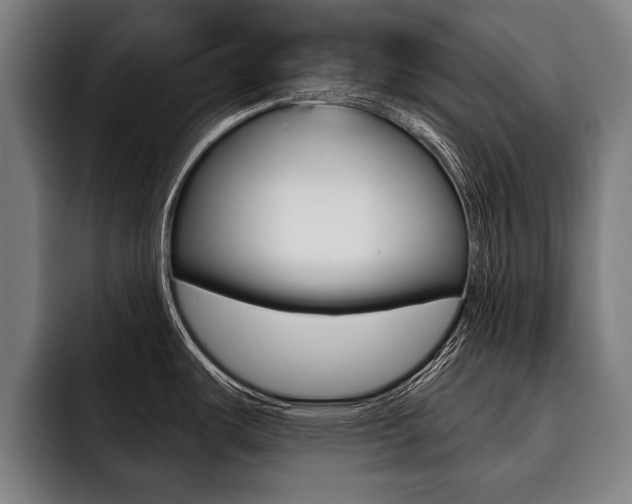 X0000093481487200710120945