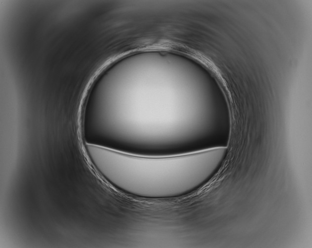X0000093481488200710120945