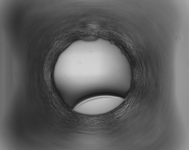X0000093481489200710120945