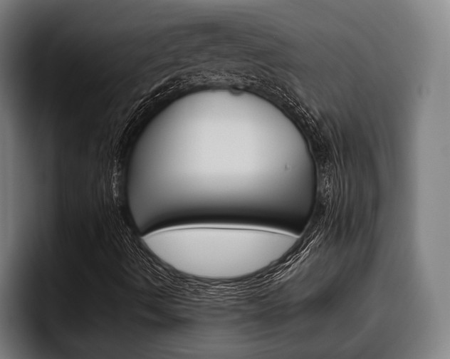 X0000093481490200710120945
