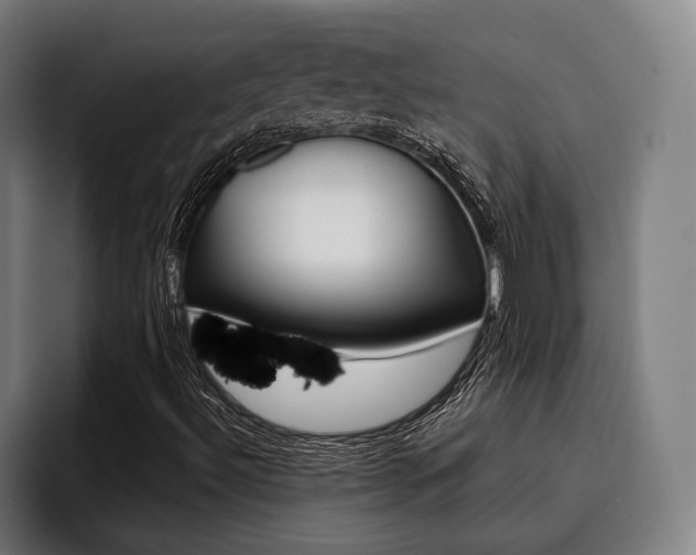 X0000093481492200710120945