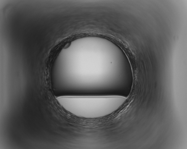 X0000093481494200710120945