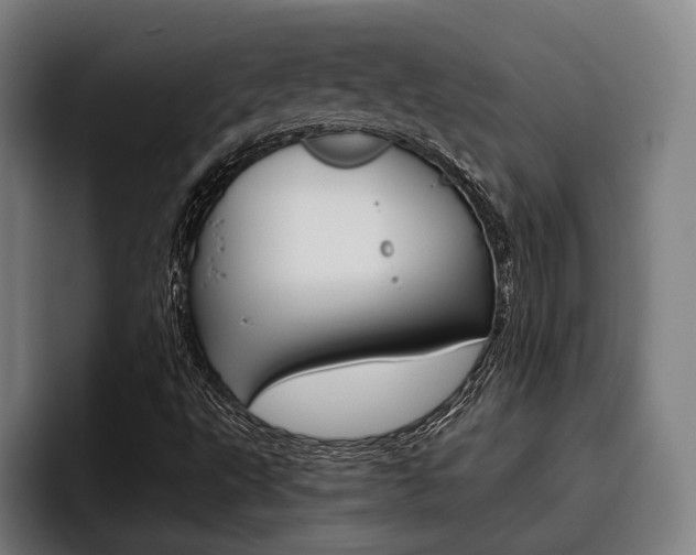 X0000093481495200710120945