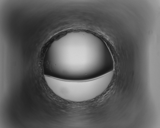 X0000093481496200710120945