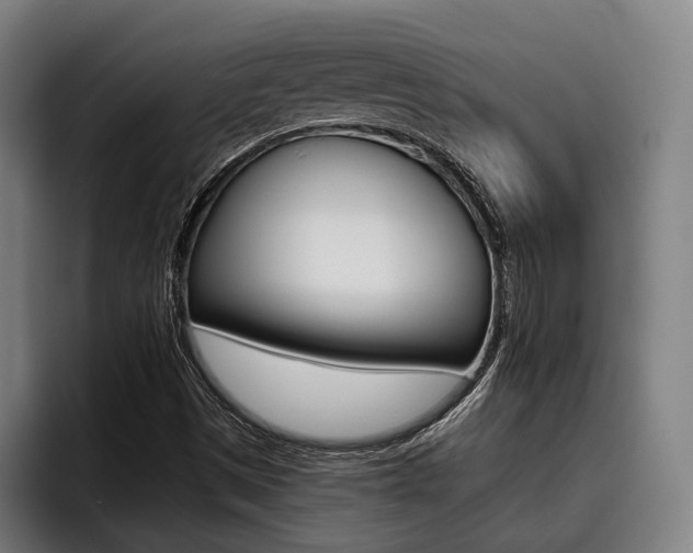 X0000093481497200710120945