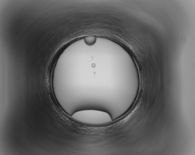 X0000093481498200710120945