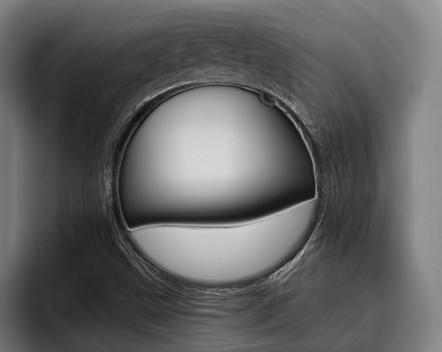 X0000093481499200710120945