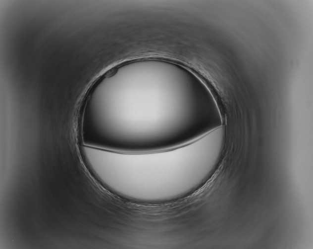 X0000093481500200710120945