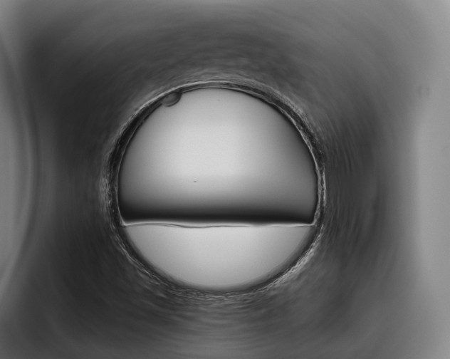 X0000093481501200710120945