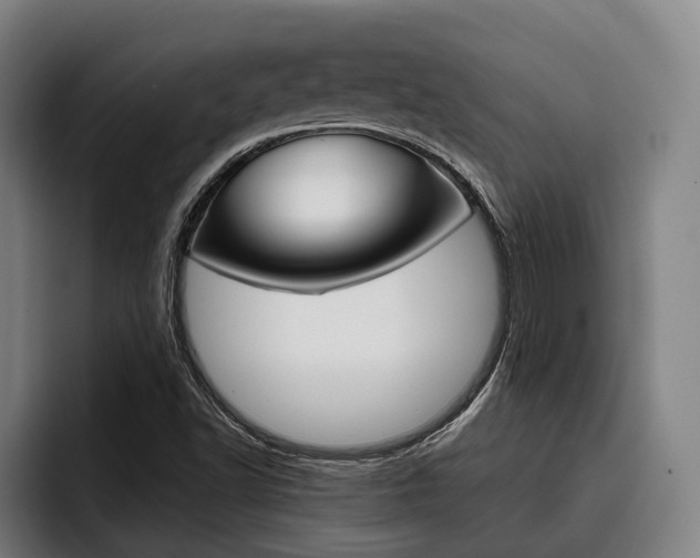 X0000093481502200710120945