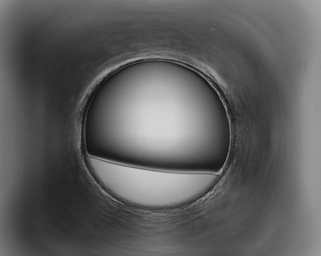 X0000093481504200710120945