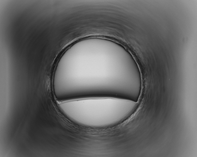 X0000093481505200710120945