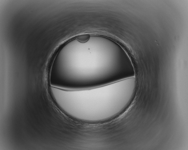 X0000093481506200710120945