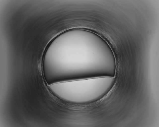 X0000093481513200710120945