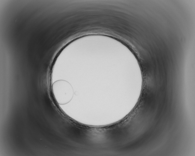 X0000093481514200710120945