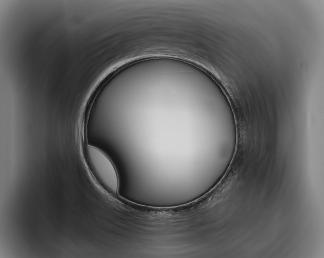 X0000093481515200710120945