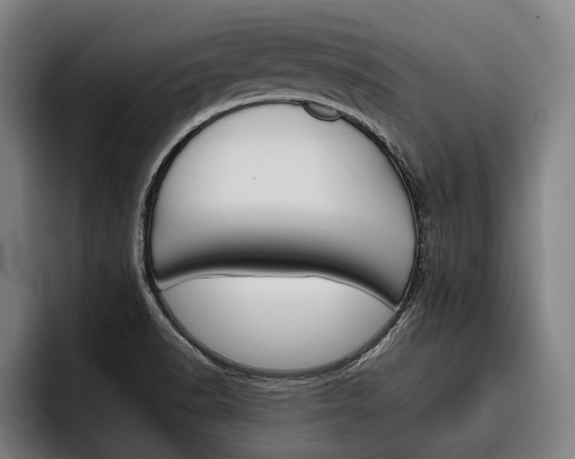 X0000093481518200710120945