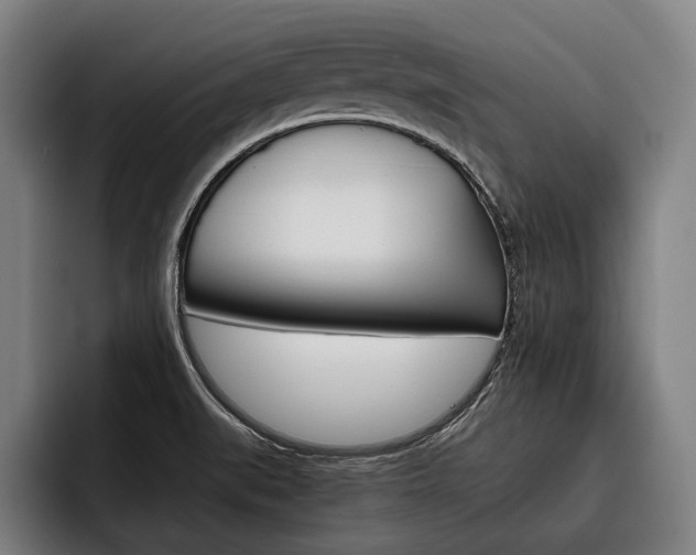 X0000093481519200710120945