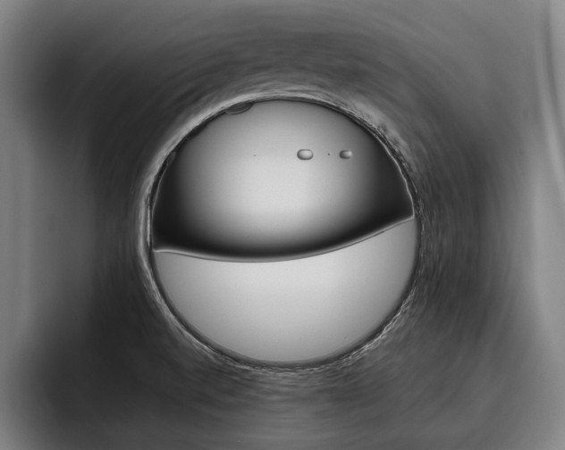 X0000093481520200710120945