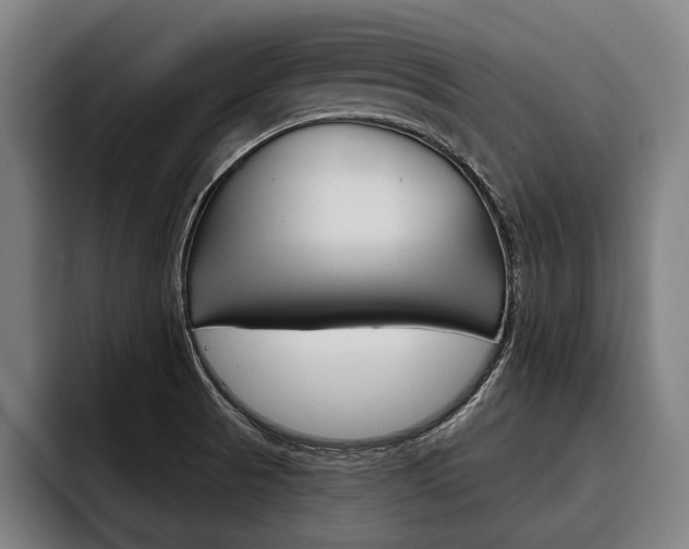 X0000093481521200710120945