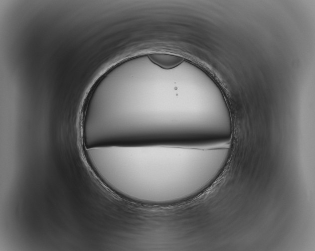 X0000093481522200710120945
