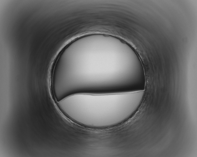 X0000093481523200710120945