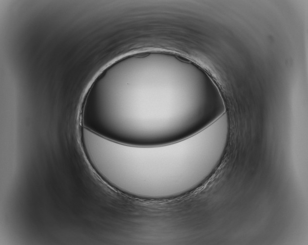X0000093481524200710120945