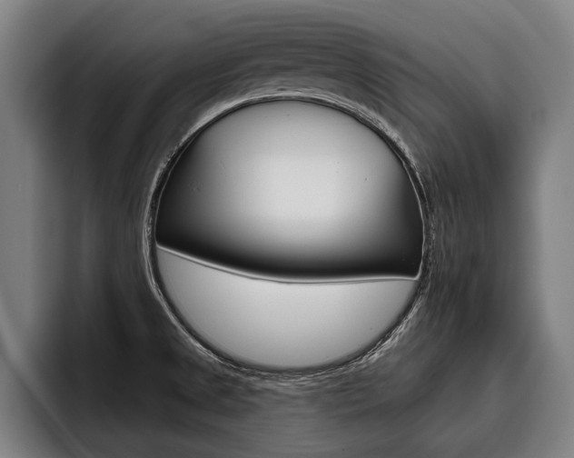 X0000093481525200710120945