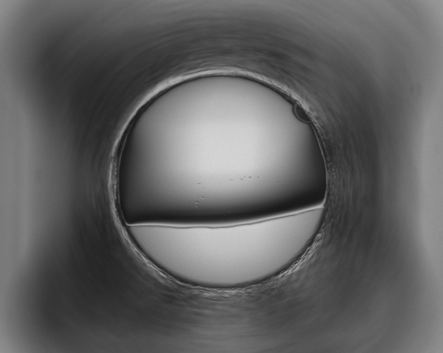 X0000093481526200710120945
