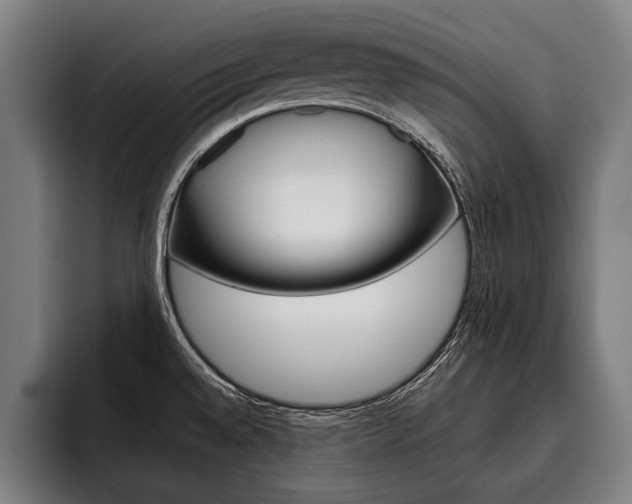 X0000093481528200710120945