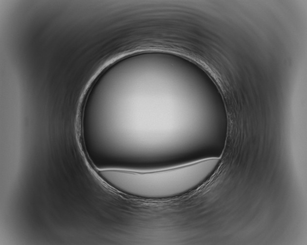 X0000093481531200710120945