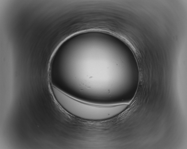 X0000093481532200710120945