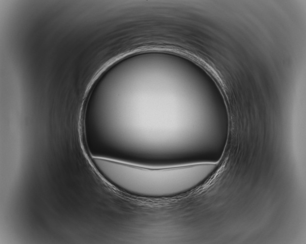 X0000093481533200710120945