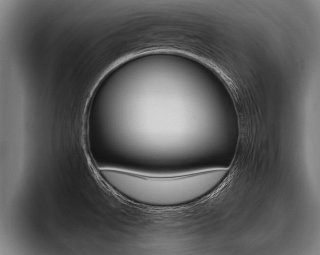 X0000093481534200710120945