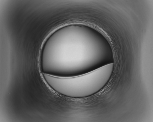 X0000093481536200710120945