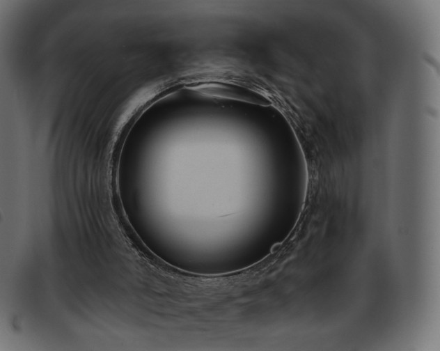 X0000093480006200710121455