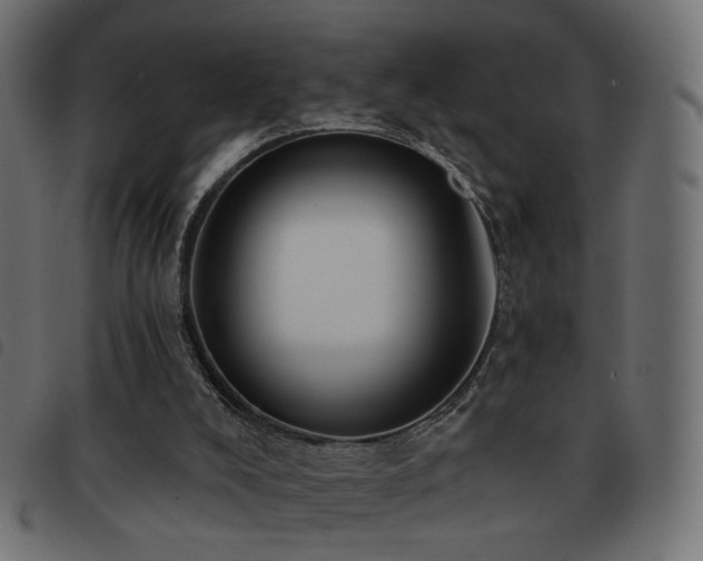 X0000093480008200710121455