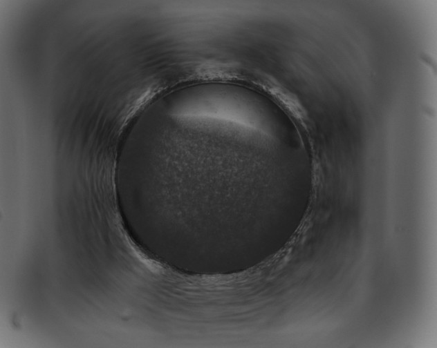 X0000093480009200710121455