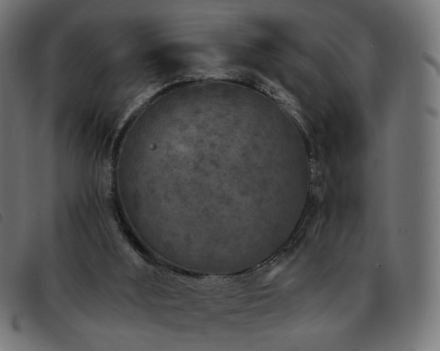 X0000093480012200710121455